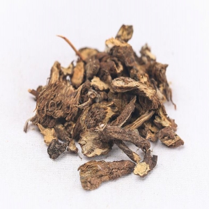 白头翁外囊泡
