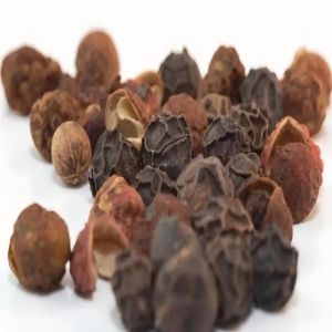 荜澄茄外囊泡