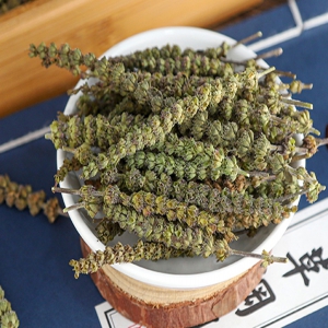 荆芥穗外囊泡