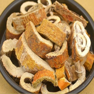 桑白皮外囊泡