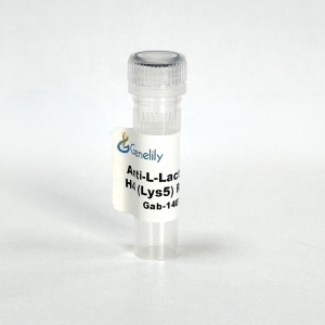 Anti-L-Lactyl-Histone H4 (Lys5) Rabbit mAb