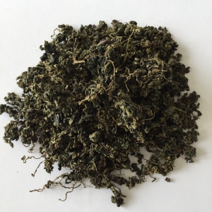 中药外囊泡（绞股蓝）